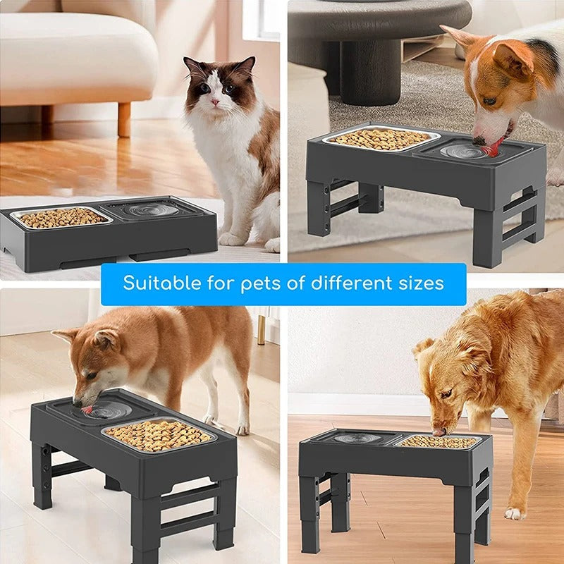 double pet bowls