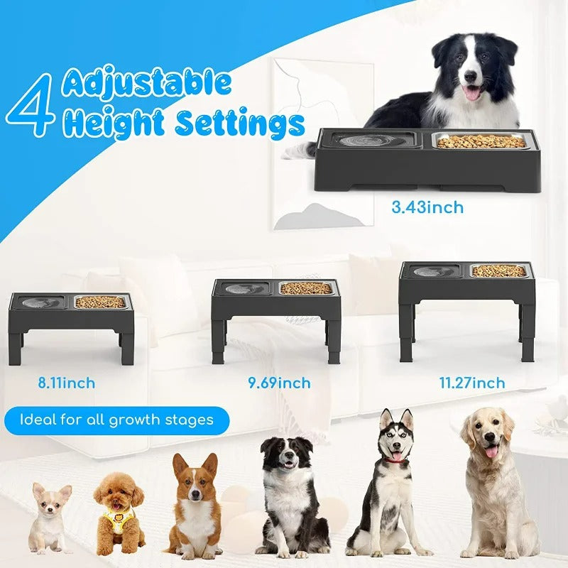 double pet bowls