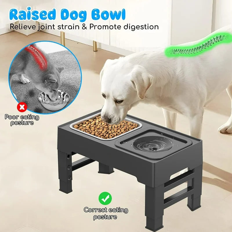 double pet bowls