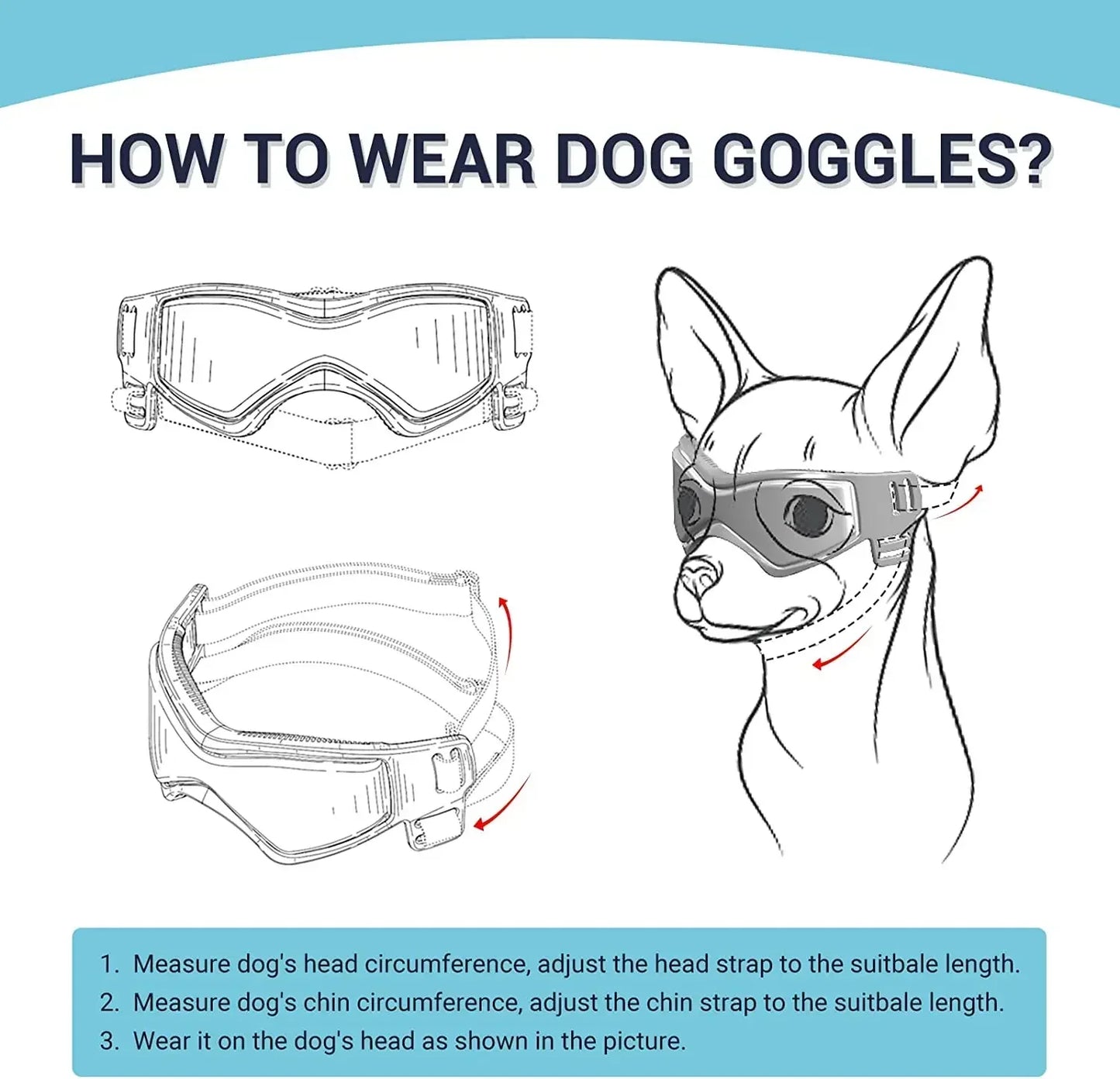 Protective Glasses for Dogs